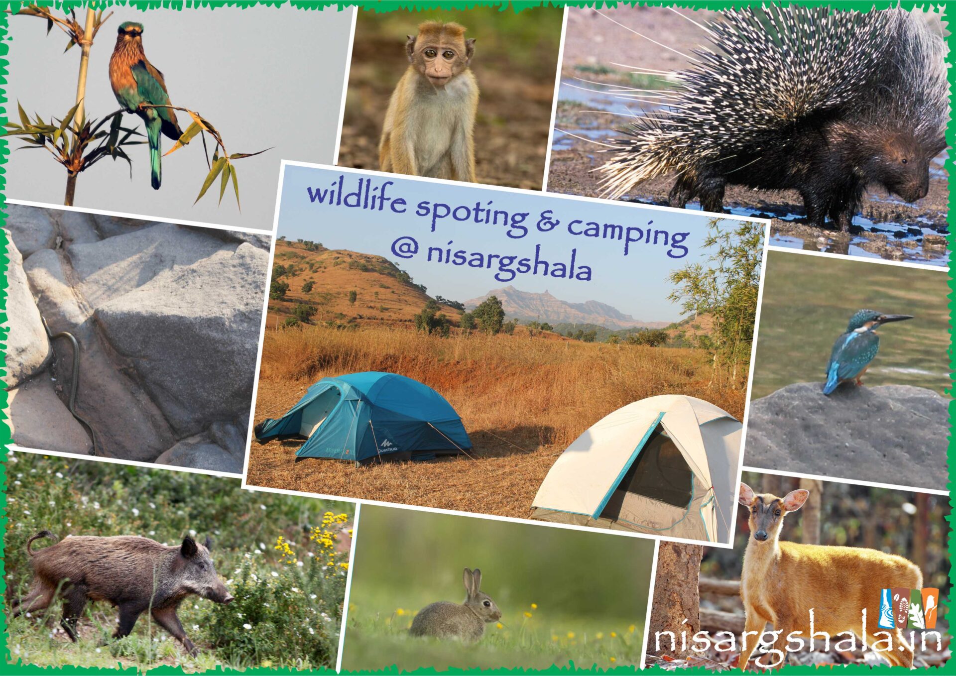 Wildlife spotting and camping near Pune