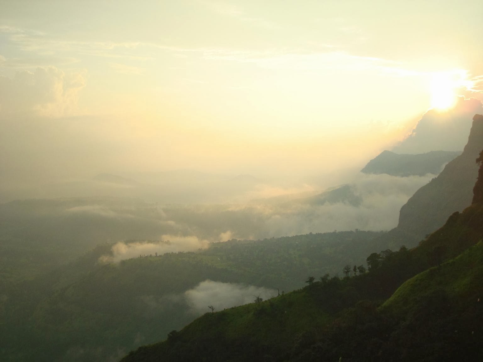 View of Konkan region from Madhe ghat