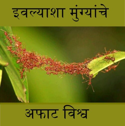Ants article in marathi detailed
