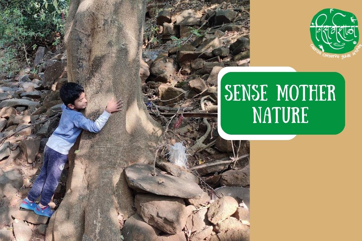 Nature Explorers Camp offers a serene and peaceful environment, far from the hustle and bustle of city life. Amidst the lush greenery and soothing sounds of nature, your child will experience a sense of tranquility, allowing them to truly connect with their surroundings and appreciate the wonders of Sahyadri.